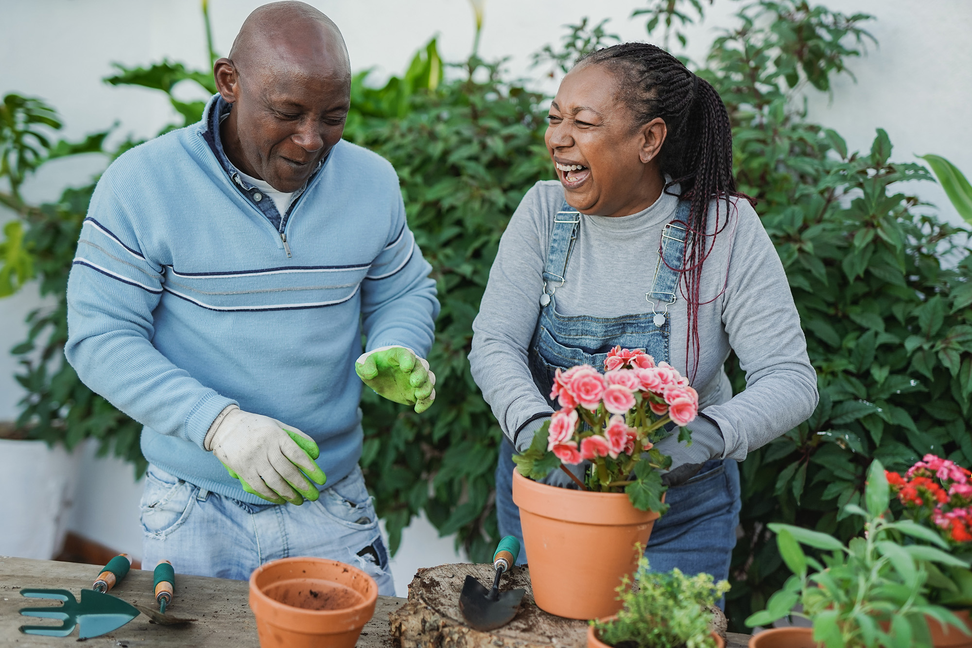 couple gardening